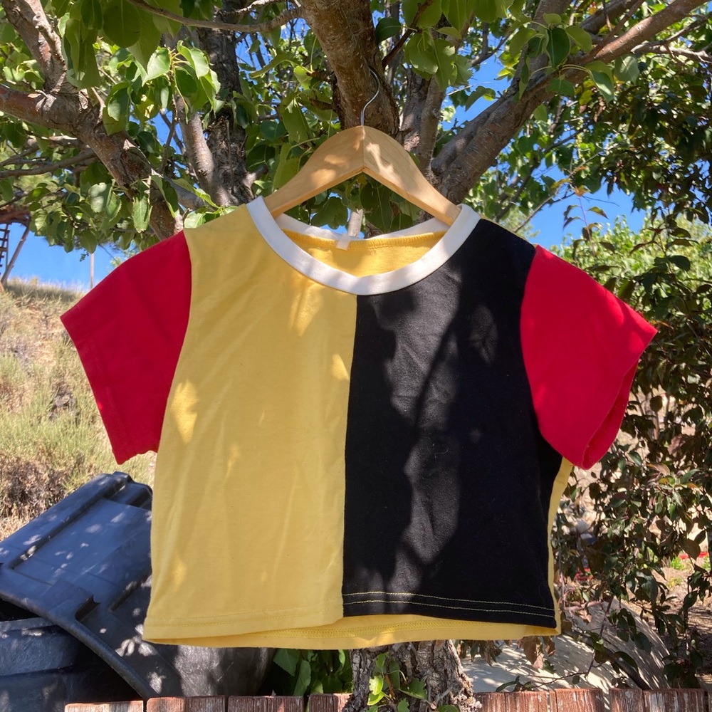 Color block cropped tee